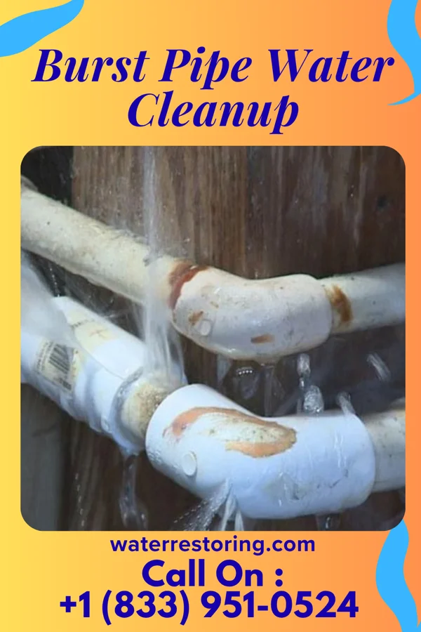 Burst Pipe Water Cleanup in Bellaire, MI