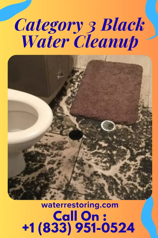 Category 3 Black Water Cleanup in Bellaire, MI