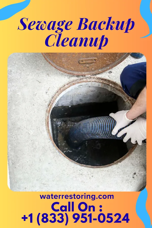 Sewage Backup Cleanup in Bellaire, MI